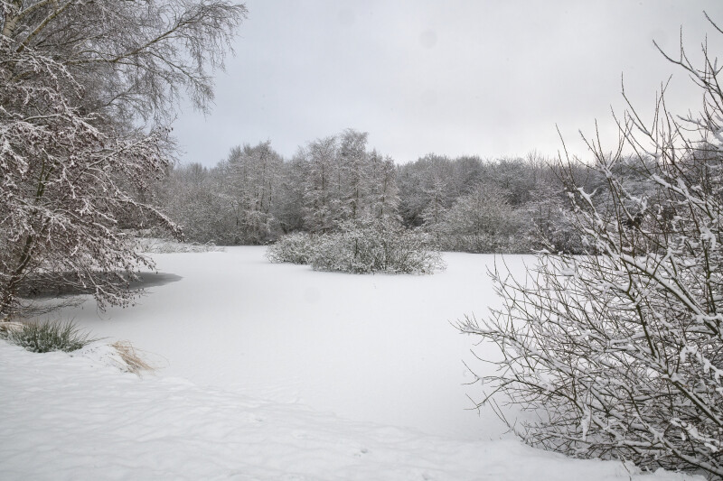 et vinter billede fra en lille sø 