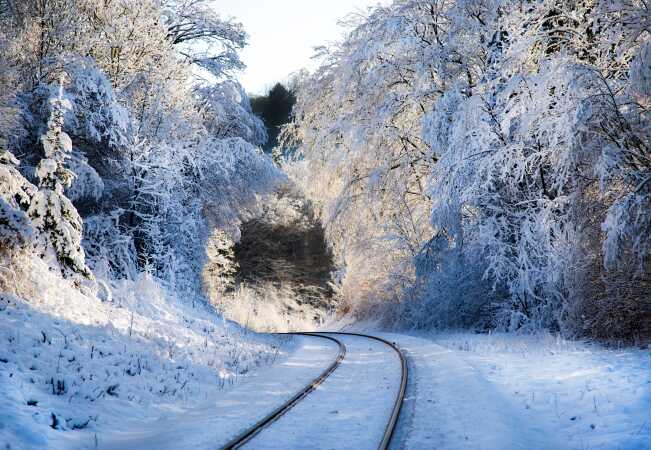 Winter Wonderland 