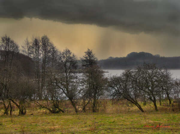 Kraftig regn ved Sygehuset