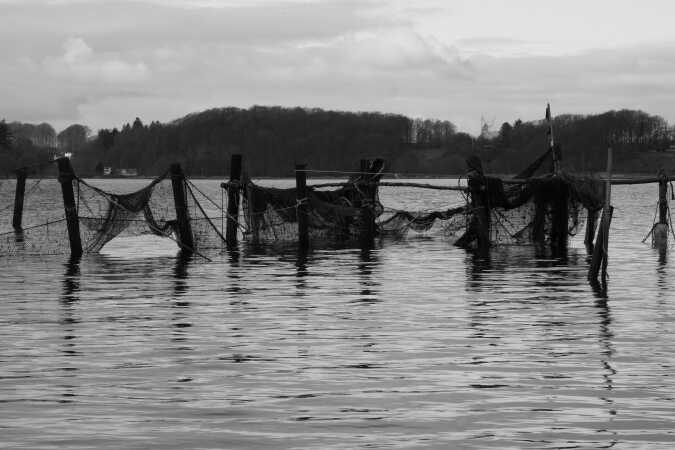 Fiskenet ved Hindsgaul Middelfart