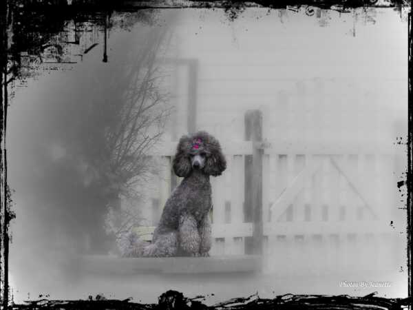 Kacey....