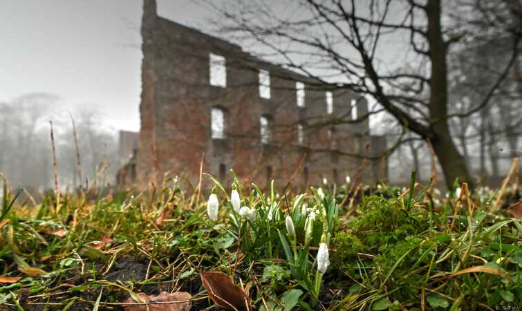 Trøjborg Slotsruin