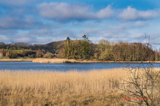 Kalvø 2