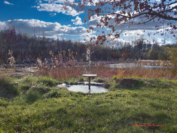 Aller mølle Springvand