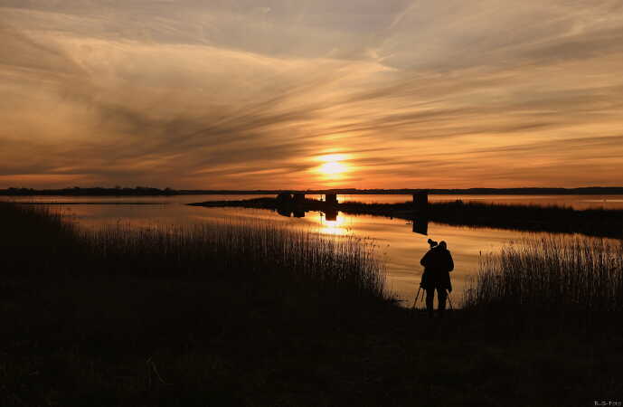 Solnedgang