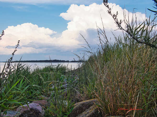ned på knæ i årøsund