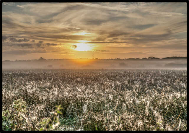 solopgang d.11.08.25