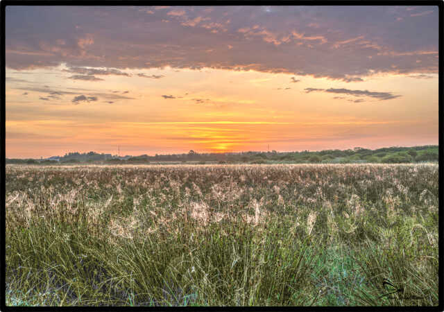 Solopgang d.12.08.25