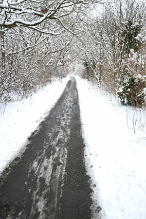 et vinter billede fra en gang sti i Tinglev 