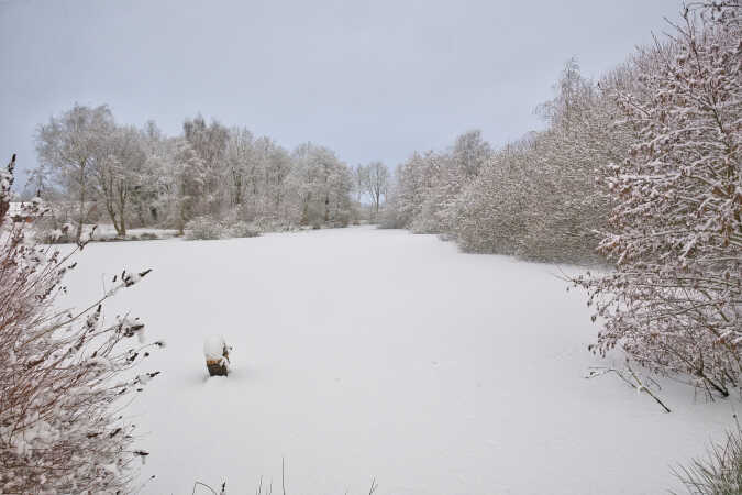et vinter billede fra en lille sø 