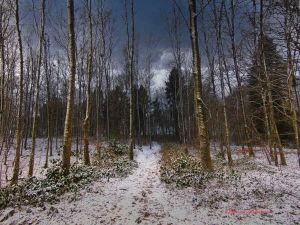 Ved starup Præstegård