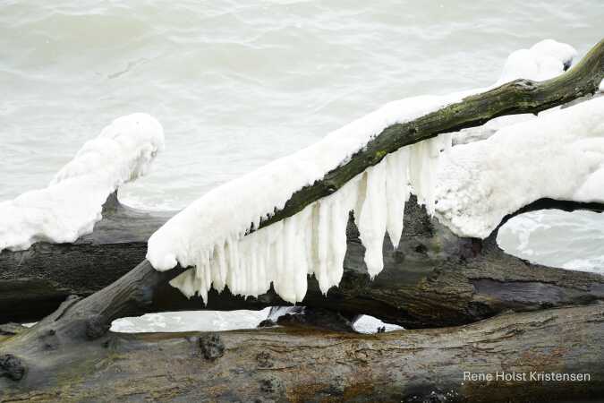 Is formationer ved Trelde næs 
