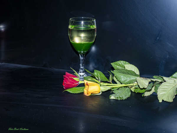 2026 feb 07 rose lavalampe glas grøn Akvastabil (1)