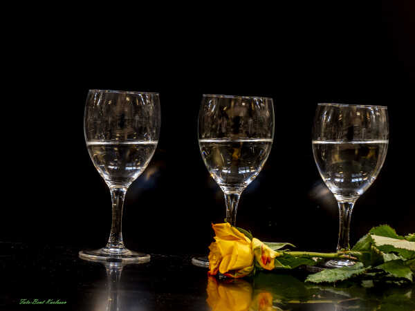 2026 feb 07 glas vand gul rose Akvastabil (2)