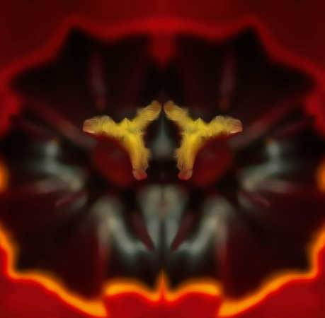 Angels of Love
